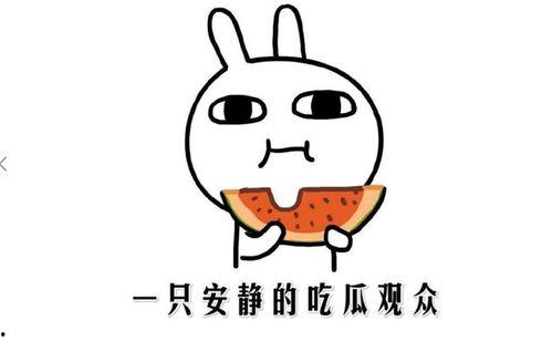 吃瓜事件网红,揭秘吃瓜网红背后的故事  第1张